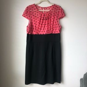 Nordstrom Plus Size Dress